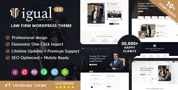 Igual - Lawyer Attorney Law Firm WordPress Theme