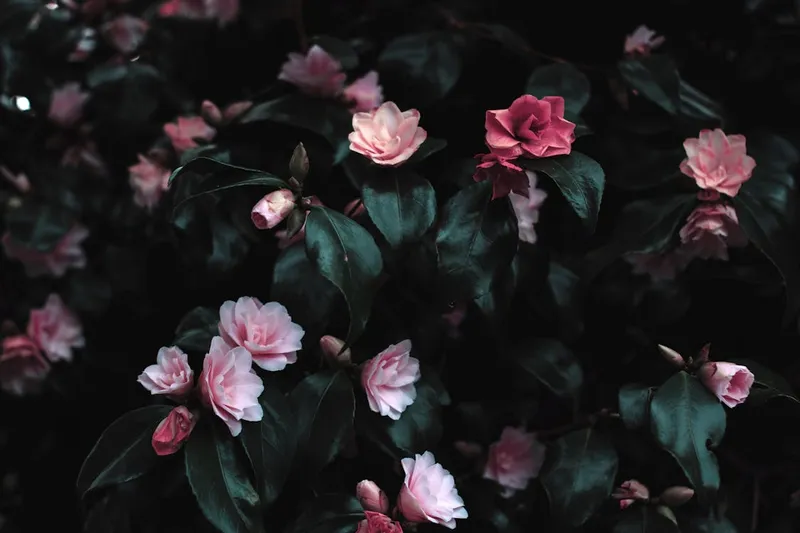 Florista creando un hermoso ramo de flores frescas.